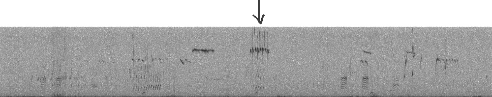 Thomsons_Creek_1_796_237327_20120629_081330_30.0_0_22050_512_g