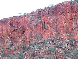 View from Beer-Garden at Glen Helen Resort