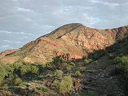 near Ormiston Gorge