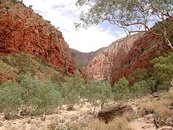 Looking into Ormiston Gorge