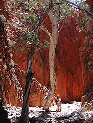 View before Standley Chasm