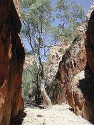 View out of Standley Chasm