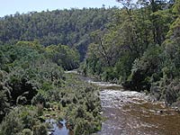 Mole Creek 