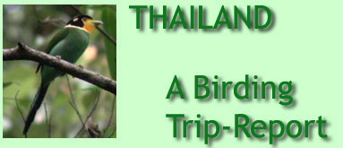 Thailand Trip-Report