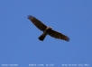 bgos_6856e